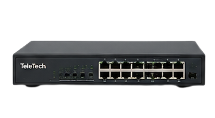 TeleTech 5-Port Network Switch